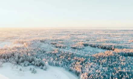 Un viaje por la diversidad de Finlandia explorando sus fronteras